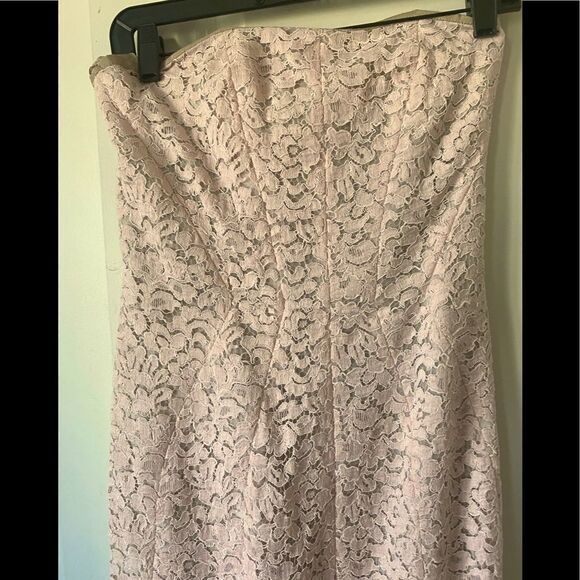 Corded Lace Sheath J. Mendel  color Blush - Picture 6 of 10